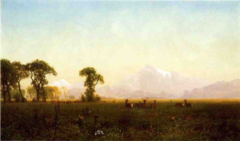 Albert Bierstadt Deer Grazing, Grand Tetons, Wyoming